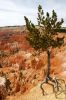 bryce_canyon.JPG