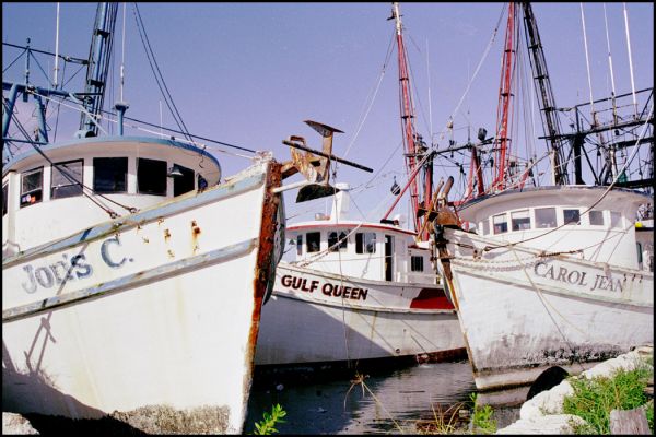 Fishing Boats
Boote im Fischereihafen auf Stock Island in den Florida Keys
Schlüsselwörter: Florida, Keys, Stock Island, Boote, Fischerei