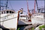 Fishing Boats