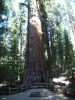 Sequoia National Park