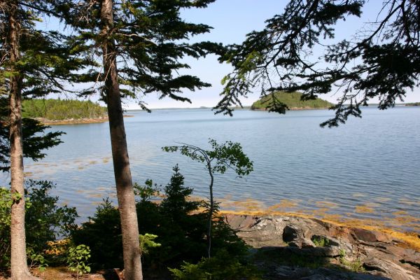 Dildo Run Provincial Park
