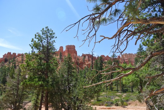 Bryce Navajo unten 3
