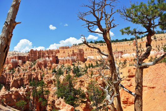Bryce Queens 2
