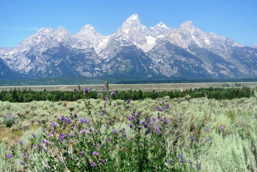 Grand Teton 6
