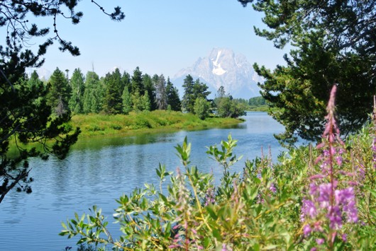 Grand Teton 4
