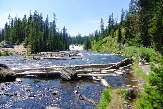 Yellowstone Lewis Fall
