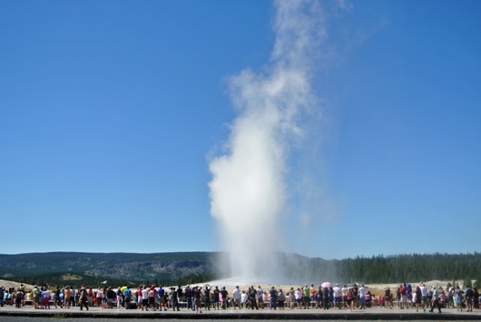 Yellowstone Old 
