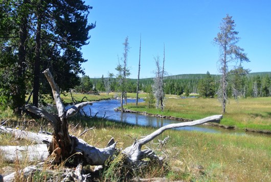 Yellowstone vor Morning Glory 2
