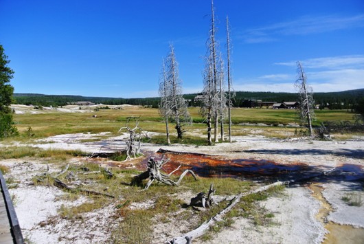Yellowstone nach Morning Glory 2
