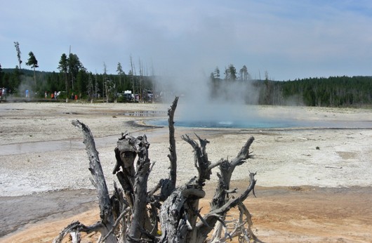 Yellowstone Lower Geysir Basin 3
