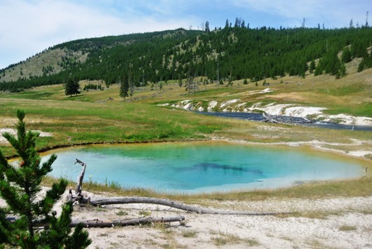 Yellowstone Lower Geyser
