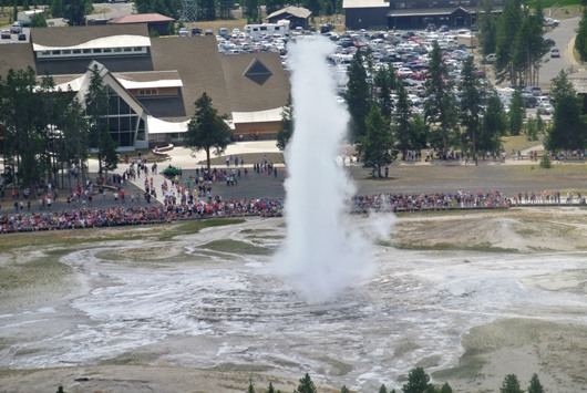 Yellowstone Old 2
