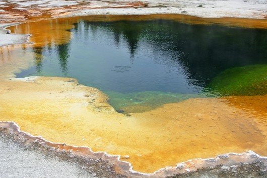 Yellowstone 11
