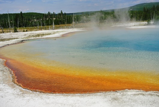 Yellowstone Black Sand Basin 2
