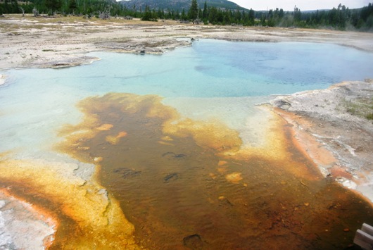 Yellowstone 13
