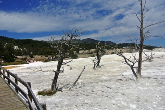 Yellowstone Mammoth 4

