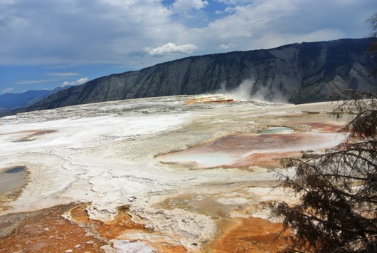 Yellowstone Mammoth 3
