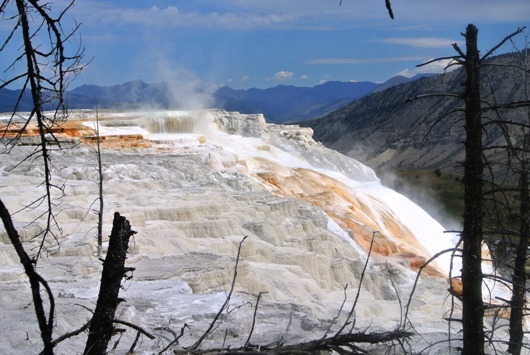 Yellowstone Mammoth 2

