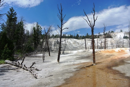 Yellowstone Mammoth Angel 2
