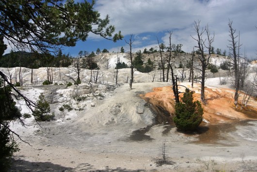 Yellowstone Mammoth Angel
