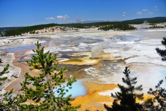 Yellowstone Norris Basin
