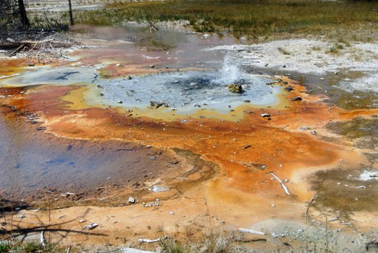 Yellowstone Norris Basin 6
