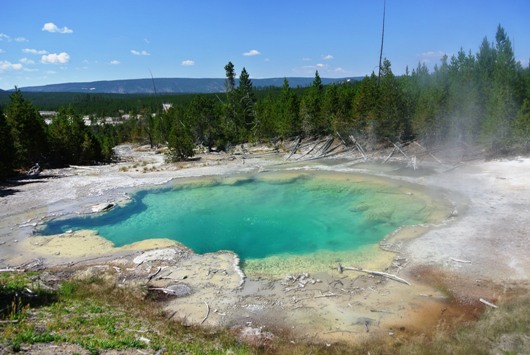 Yellowstone Back Basin
