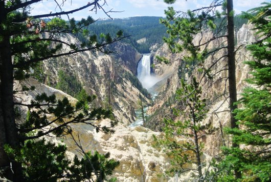 Yellowstone Grand Canyon
