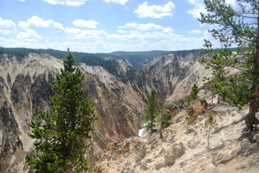 Yellowstone Grand Inspiration
