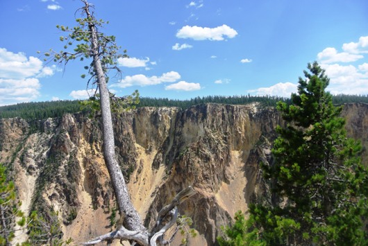 Yellowstone Grand Canyon Grandview
