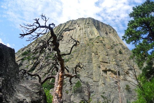 Devils Tower

