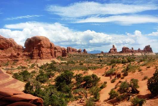 Arches 6
