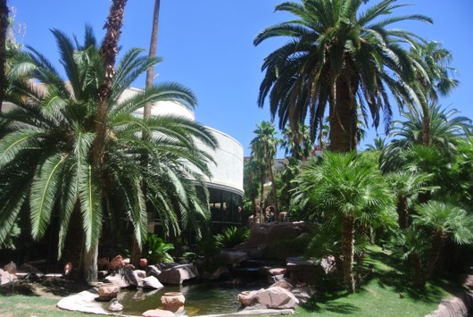 Las Vegas Flamingo Garten
