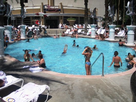 Las Vegas Pool 2

