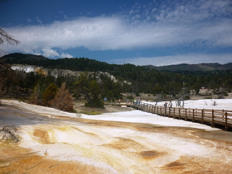 Yellowstone Mammoth 10
