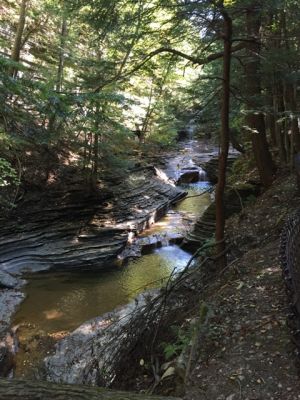 Finger Lakes
