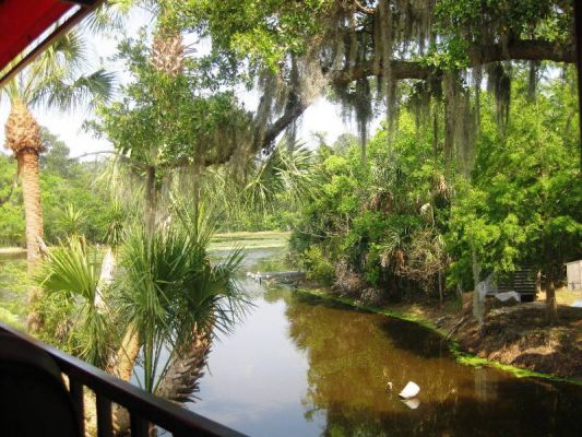 Boone Hall
