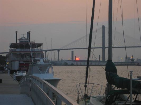 Savannah
