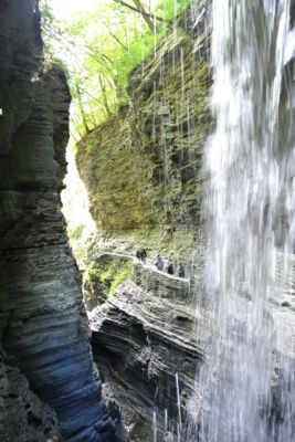 Finger Lakes
