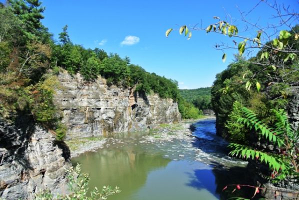 Finger Lakes
