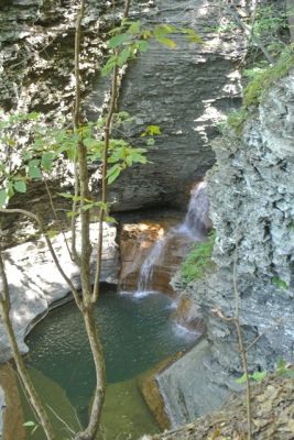 Finger Lakes
