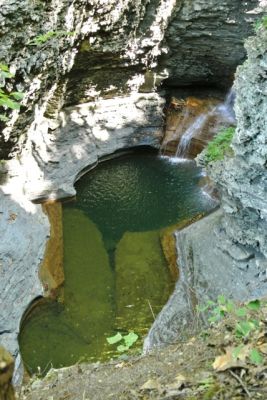 Finger Lakes
