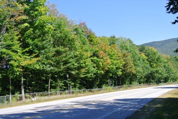 New England
