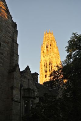 Yale
