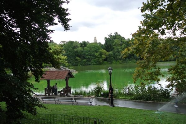 New York Central Park
