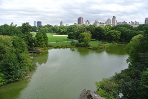 New York Central Park
