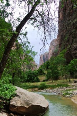 Zion Fluss
