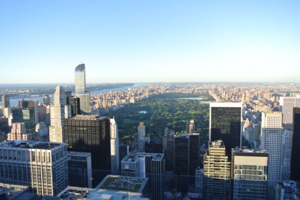 New York Top
