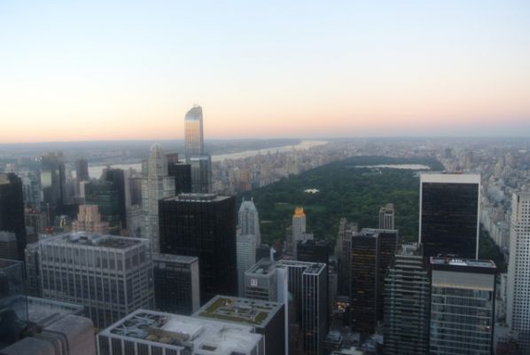 New York Top
