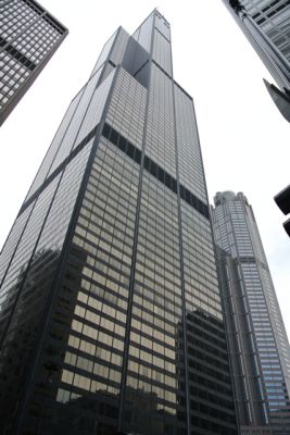 Chicago Willis
